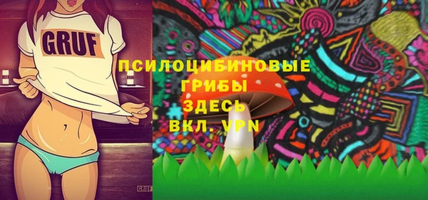 мдпв Волоколамск