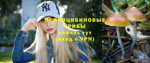 мдпв Волоколамск