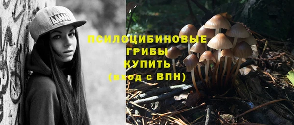 мдпв Волоколамск